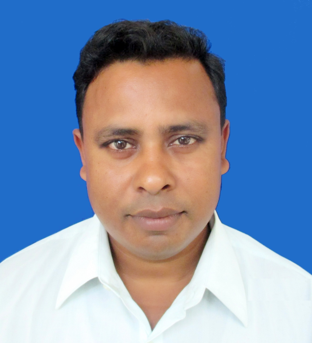 মোঃ আনছার আলী 